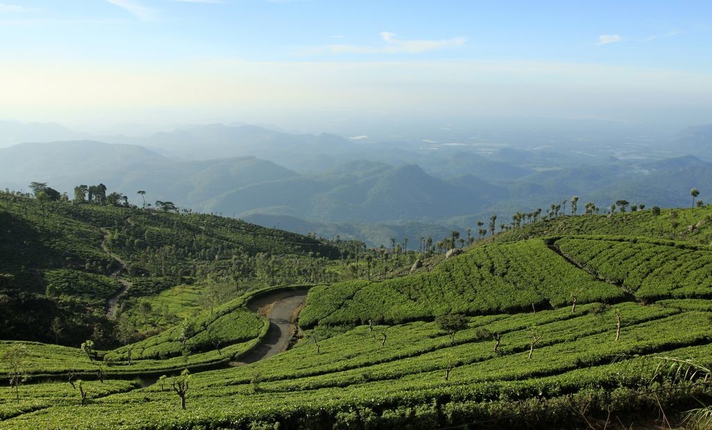sri-lanka-haputale-tea-plantations-photo-08